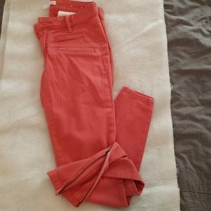 BCBG generation pants